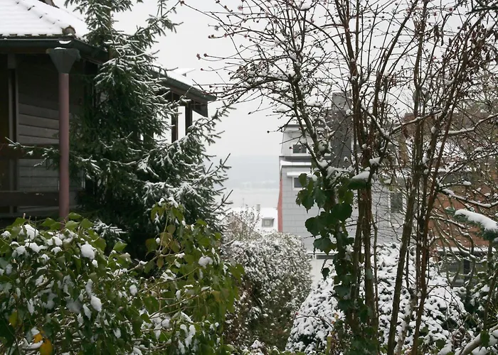 Ueberlinger Seerose Uberlingen